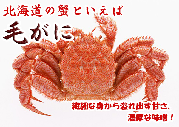 北海道の蟹といえば　毛がに　繊細な身から溢れ出す甘さ、濃厚な味噌！